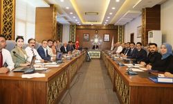 Cizre'de koordinasyon kurulu toplantıları yapıldı