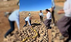 Farklı ülkelerden sanatçılar Karahantepe'de "arazi sanatı performansı" sergiledi