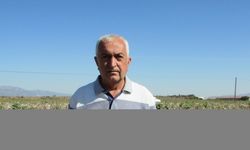 Gaziantep'te pamuk hasadı başladı