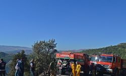 GÜNCELLEME - Adıyaman'da çıkan orman yangını kontrol altına alındı