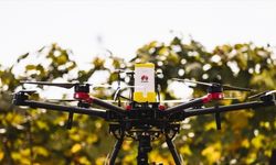 Huawei'den akıllı tarım uygulamalarına çevre dostu teknolojiler