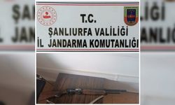 Şanlıurfa'da 102 kök Hint keneviri ile av tüfeği ele geçirildi