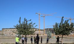 Şanlıurfa'da sulama kanalına düşen 2 kardeş boğuldu
