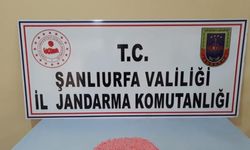 Şanlıurfa'da üzerinde 295 uyuşturucu hap ele geçirilen zanlı tutuklandı
