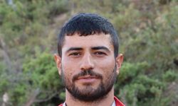 Siirt'te çizgili sırtlan ölü bulundu