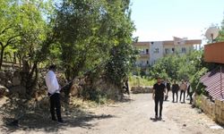 Silopili berber ilçedeki gençlerle "Rastlantı" isimli film çekiyor