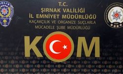 Şırnak'ta asayiş ve kaçakçılık operasyonlarında 28 kişi hakkında işlem yapıldı
