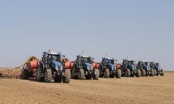 Türkiye'nin en büyük tarım işletmesinde buğday tohumları toprakla buluşuyor