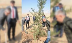 Cizre'de Milli Ağaçlandırma Günü etkinliği düzenlendi