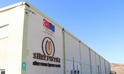 Devletin desteğiyle kurulan tesiste 2 bin ton Siirt fıstığı işleniyor