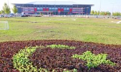 Diyarbakır'da milli maçın oynanacağı stadyumun çevre düzenlemesi tamamlandı