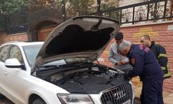 Gaziantep'te aracın motor kısmına sıkışan kediyi itfaiye kurtardı