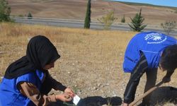 Hayatını kaybeden madenciler için fidan diktiler