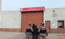 Kilis'te bahçeden zeytin hırsızlığı iddiasıyla 2 zanlı tutuklandı