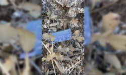 Mardin'de PKK'lı teröristlerin ikna ile teslim olması için kırsala broşür bırakıldı