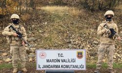 Mardin'de terör örgütü PKK'ya ait mühimmat ele geçirildi