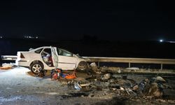Şanlıurfa'da tırla çarpışan otomobildeki 2 kişi öldü, 1 çocuk yaralandı