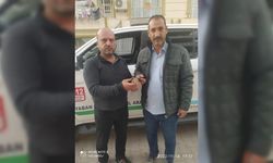 Şanlıurfa'da yaralı halde bulunan çulluk kuşu tedavi altına alındı