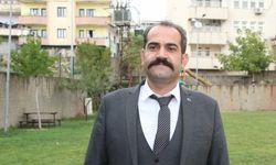 Şırnak'ta pamuk üretimi devlet desteğiyle artıyor