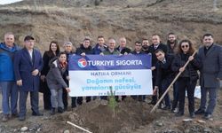 Türkiye Sigorta Ormanı Sivas'ta yeşerecek