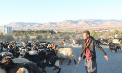Yayla sezonunu tamamlayan göçerler dönüş yolculuğunda