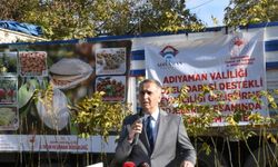 Adıyaman'da çiftçilere 6 bin ceviz fidanı dağıtıldı