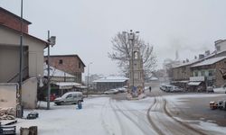 Adıyaman'da kar yağışı trafiği olumsuz etkiliyor