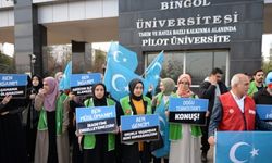 Çin'in Sincan Uygur Özerk Bölgesi politikaları Diyarbakır, Bingöl ve Şırnak'ta protesto edildi