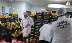 Hilvan'da ihtiyaç sahibi ailelerin meyveleri kaymakamlık tarafından karşılanıyor