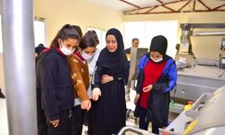 Meslek lisesi öğrencileri zeytinyağı üretimi için çalışıyor