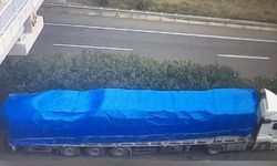 Şanlıurfa'da sahte plakalı tırla fabrikadan 27 ton iplik çalan 3 zanlı tutuklandı