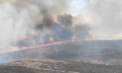 Diyarbakır'da 400 dönümlük ekili arazi yanarak küle döndü