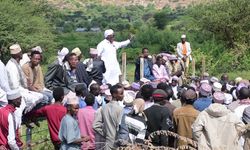 Kenya'da bayram namazından sonra tekbirlerle kurbanlar kesildi