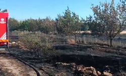 Malatya'da anız ve bahçe yangını