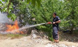 Adana'da meyve bahçesi yangını