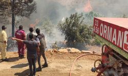 Antalya'da otluk alanda başlayan yangın ormana ve seralara sıçradı