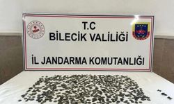 Bilecik'te tarihi eser operasyonu: 2 gözaltı