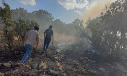 Diyarbakır'da örtü yangını çıktı