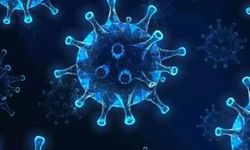 Hindistan'da Chandipura virüsü nedeniyle 48 kişi öldü