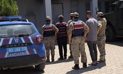 Şanlıurfa'da 1,5 ton Antep Fıstığı çalındı: 2 şüpheli yakalandı