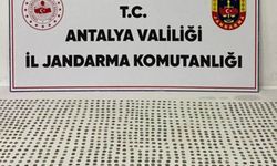 Antalya'da tarihi eser operasyonu