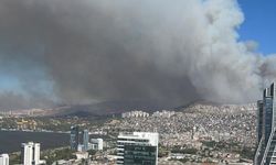 Bakan Yumaklı: İzmir'de 16 ev yandı, 87 ev ve 44 iş yeri tahliye edildi