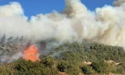 Kızılcahamam'da başlayan yangın Bolu'nun Gerede ilçesine sıçradı