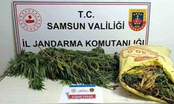 Samsun'da 12 kilogram esrar ele geçirildi 