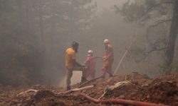 Sarp arazi yapısı Bolu'daki yangına müdahaleyi güçleştiriyor