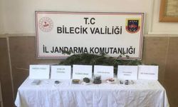 Bilecik'te uyuşturucu operasyonu: 1 gözaltı