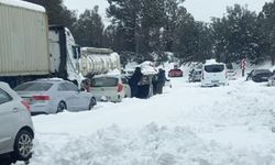 Güney Afrika'da kar yağışı günlük hayatı olumsuz etkiledi