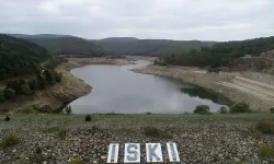 Yağışlar barajlardaki doluluk oranını artırdı