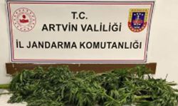 Artvin'de 15 kilogram uyuşturucu ele geçirildi