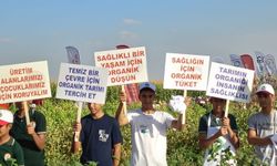 Şanlıurfa’da organik tarım şenlikleri düzenlendi